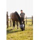 FLY MASK HORZE MOUNTAIN ESSENCE 733