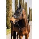 FLY MASK POUR BRIDON MOUNTAIN ESSENCE