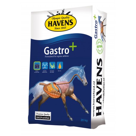 HAVENS GASTRO+